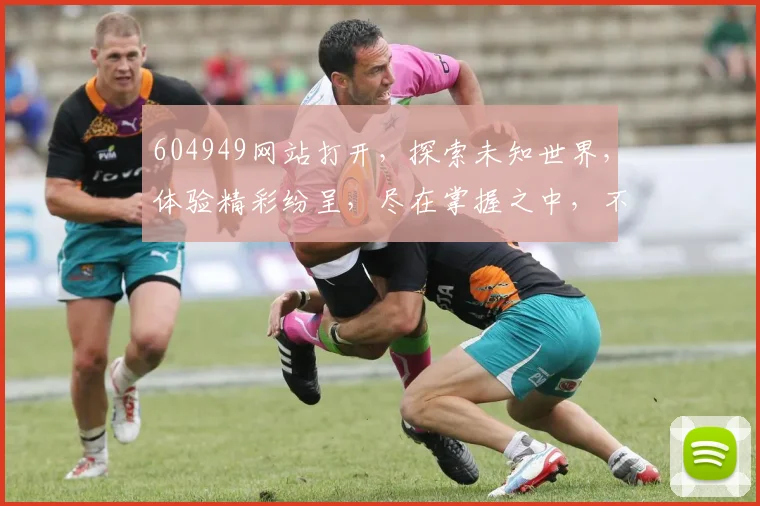 604949网站打开，探索未知世界，体验精彩纷呈，尽在掌握之中，不容错过