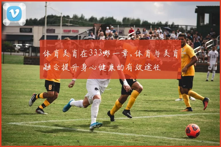 体育美育在333哪一章,体育与美育融合提升身心健康的有效途径