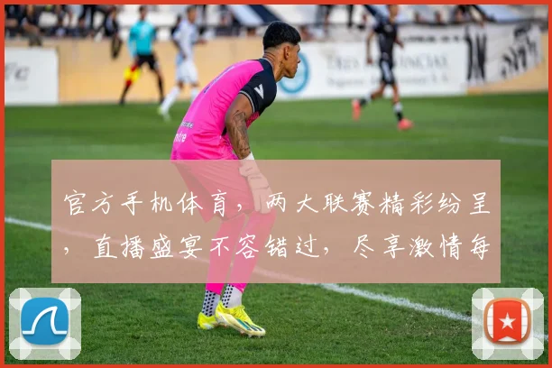 官方手机体育，两大联赛精彩纷呈，直播盛宴不容错过，尽享激情每一刻