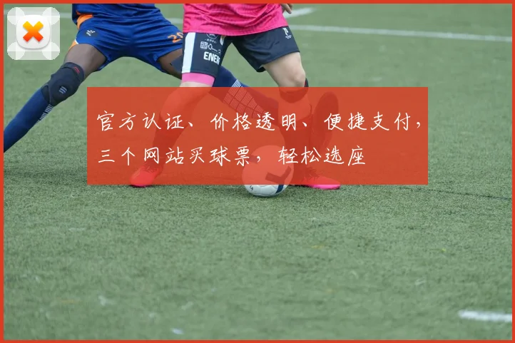 官方认证、价格透明、便捷支付，三个网站买球票，轻松选座