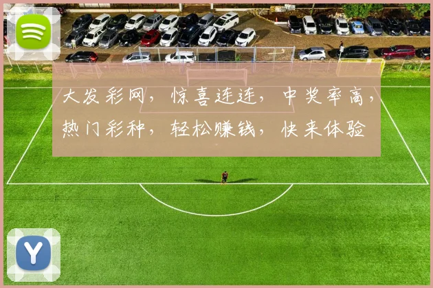 大发彩网，惊喜连连，中奖率高，热门彩种，轻松赚钱，快来体验